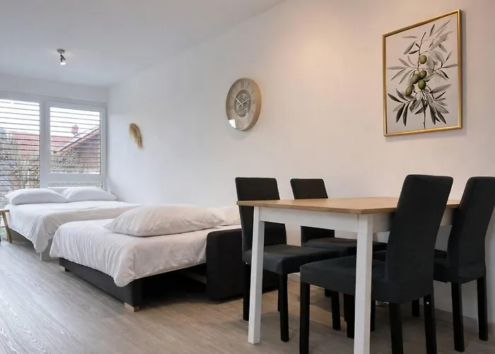 公寓 Modern With Garden & Free Parking